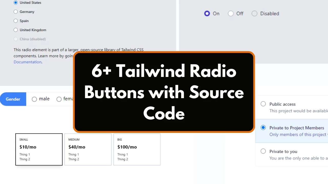 6+ Tailwind Radio Buttons with Source Code.webp
